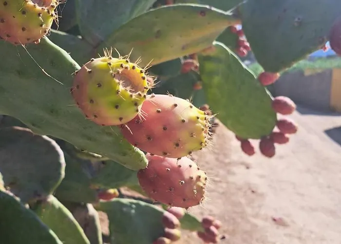 Relax Tra Mare E Monti Flumini Di Quartu 3* Capitana