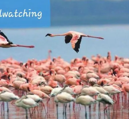 Relax Tra Mare E Monti Flumini Di Quartu