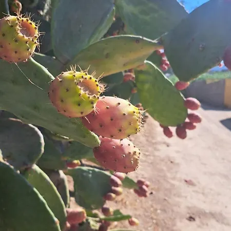 Relax Tra Mare E Monti Flumini Di Quartu 3* Capitana