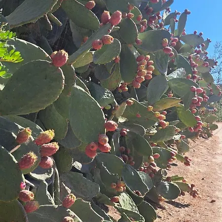 Relax Tra Mare E Monti Flumini Di Quartu